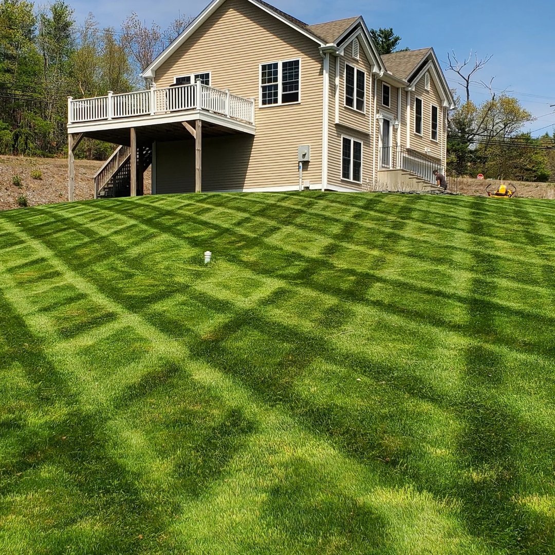 Landscaped property